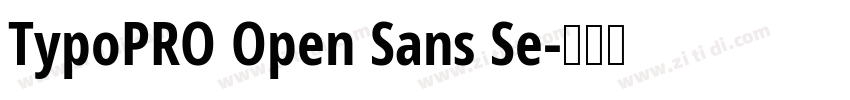 TypoPRO Open Sans Se字体转换